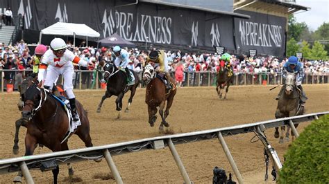 preakness handicapping picks|Preakness Stakes Predictions: Win, Place & Show Picks for 2024 .